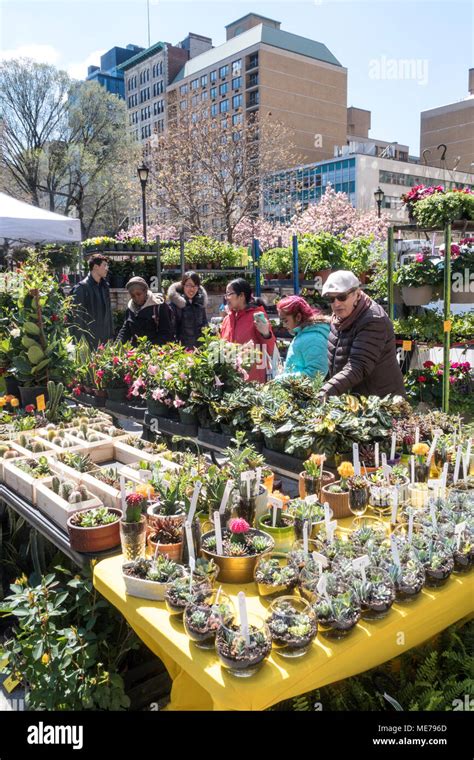 Farmer's Market in Union Square Park, NYC, USA Stock Photo - Alamy