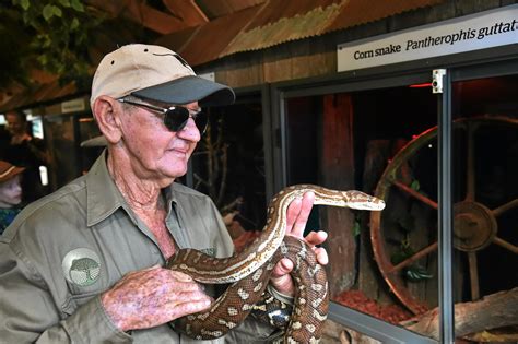 Bob Irwin Honoured By Zoos Surprise Observer