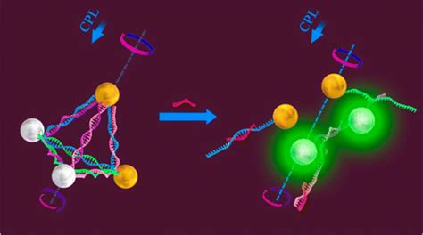 Dual Mode Ultrasensitive Quantification Of Microrna In Living Cells By Chiroplasmonic