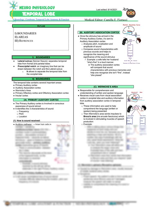 SOLUTION 075 Neurology Physiology Cerebrum Temporal Lobe Anatomy