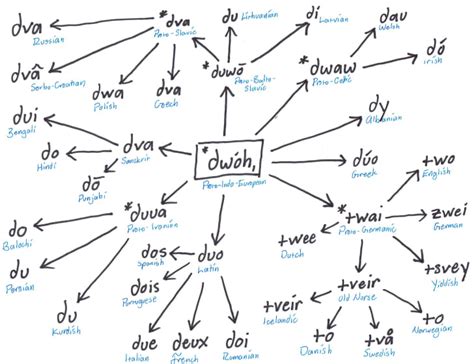 The Evolution of "Two" in the Indo-European Language Family | Mental Floss