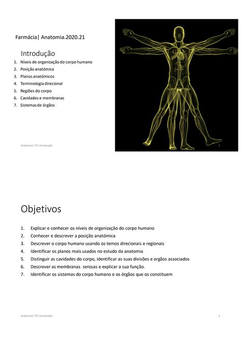 SOLUTION Terminologia Anat Mica Studypool