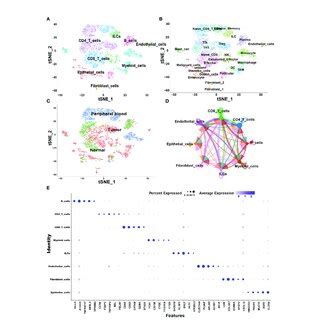 Overview Of Single Cells Derived From Tumors Adjacent Tumor Tissues