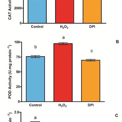 Effect Of Exogenous H O And Dpi On Antioxidant Enzyme Activities In