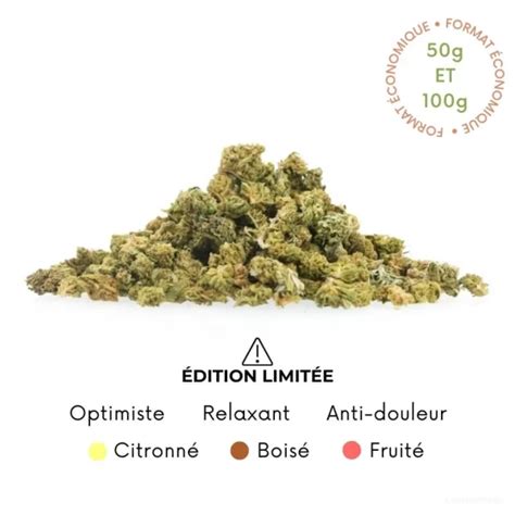 Amnesia Haze Cbd Pas Cher Fleur Cbd Grammes Cbdstreet