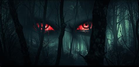 Mysterious glowing eyes in a dark forest at night | Premium AI ...