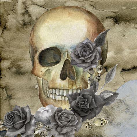 Skull With Roses Free Stock Photo - Public Domain Pictures