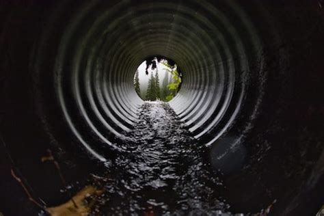 Sewer Scope Inspection Vancouver Portland Simpson Plumbing Llc