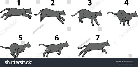 Cat Running Cycle Vector Animation Stock Vector (Royalty Free ...