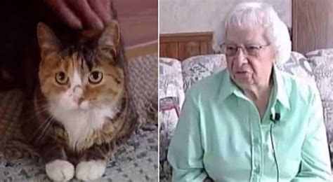 Brave Cat Saves Her 98 Yr Old Owner From A Pit Bulls. - Hrtwarming