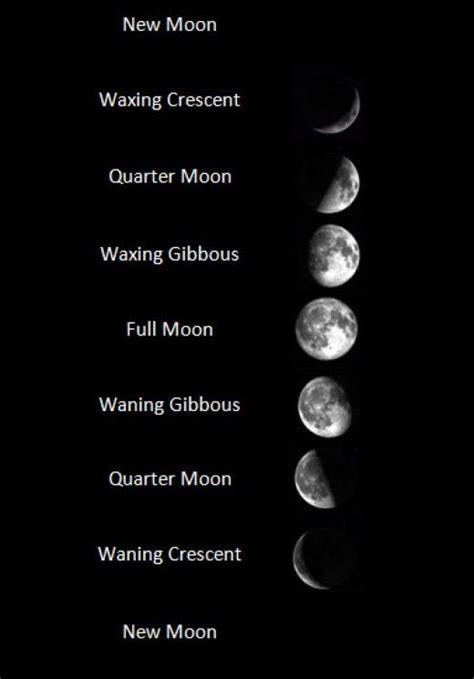 Waning Gibbous Tattoo