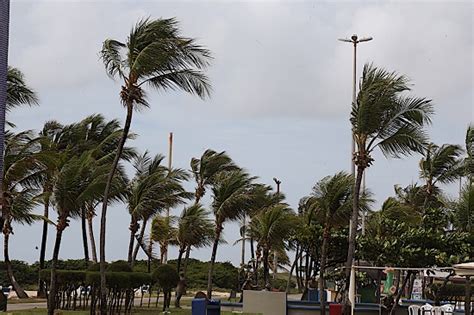 Defesa Civil emite alerta de ventos fortes em Sergipe O que é notícia