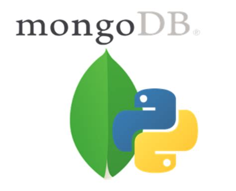 The Ultimate Guide On Python Mongodb