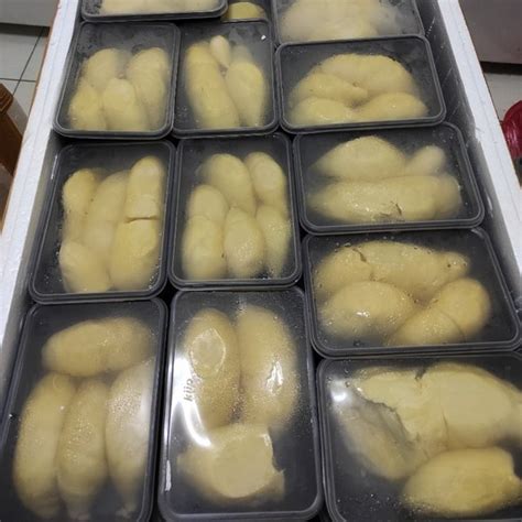 Jual Durian Montong Bali Grade A Di Lapak Hanif Aneka Durian Bukalapak