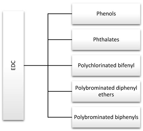 Major Endocrine Disrupting Chemicals Edcs Discussed In This Review