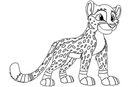 Cheetah Cub Coloring Pages at GetColorings.com | Free printable colorings pages to print and color