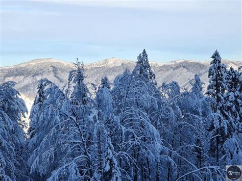 Маловідомий туристичний притулок на полонині "Плішка"