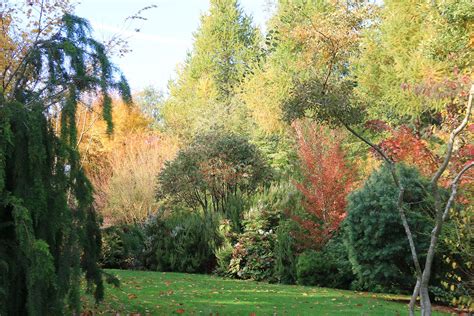 Le Jardin De L Tang De Launay Chez Jean Louis Dantec Arrosoirs Et