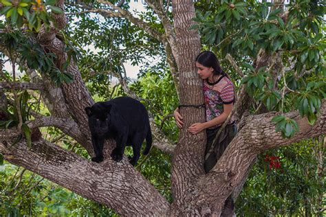 Ella Und Der Schwarze Jaguar 227479 Filmspiegel Essen