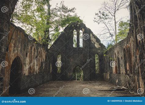 Abandoned Church Interior Where Weeds and Plants Grow on the Inside ...