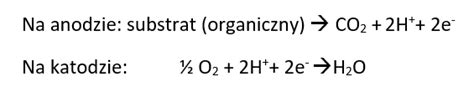 Mikrobiologiczne Ogniwa Paliwowe Ogniwapaliwowe Blog