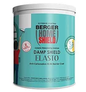 Berger Paints Home Shield Damp Shield Elasto White L Amazon In