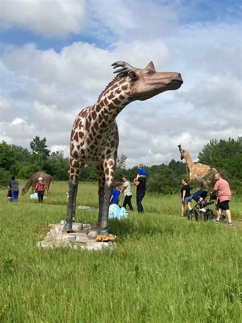 The Land Of Giants At Maxstoke Estate Near Birmingham In Pictures