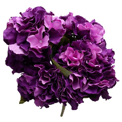 Dark purple flowers - casetews