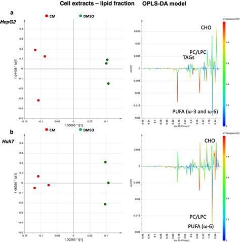 Opls Da Scores Plots Left Panel And Corresponding Coefficient Loading