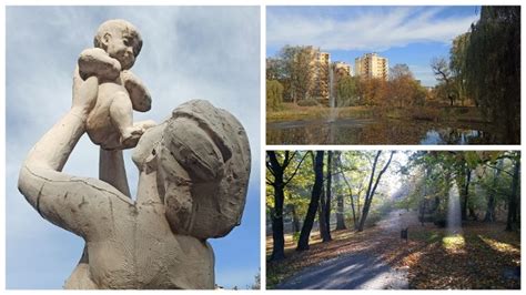 Park Róż w Chorzowie Jak prezentuje się w październikowym słońcu