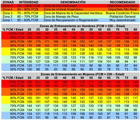 ¿cuál Es La Zona De Intensidad Cardíaca óptima Según Tu Edad Marathon Ranking