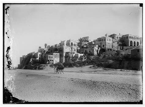 Jaffa: From Eminence to Ethnic Cleansing - Jaffa - يافا (יפו ...