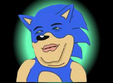 Sanigay Sanic Hegehog Know Your Meme