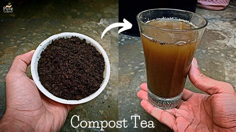 Compost Tea Liquid Fertilizer Puregreeny