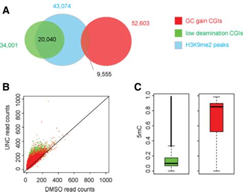 H K Me Nucleation And Effect On Chromatin Accessibility Is Biased