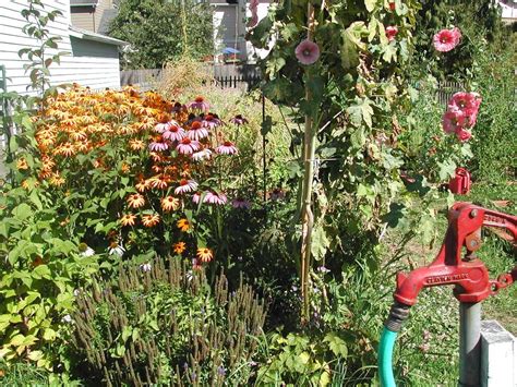 News Flash • Have a Green Thumb? Reserve a Community P-Patch