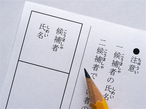 静岡県8区のままで線引き変更 衆院小選挙区の「1票の格差」、「10増10減」って何？ 静岡ライフ