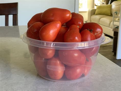 Canning Tomatoes For Beginners Quick And Easy The Diy Handy Mom