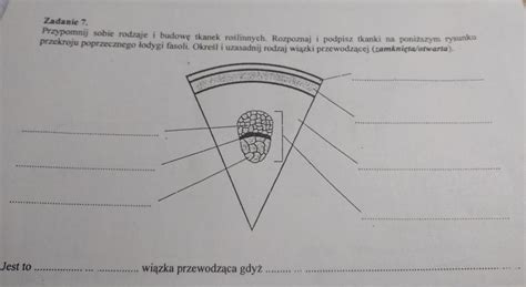 Zadanie Proypomnij sobie rodzaje i budowę tkanek roślinnych rozpoznaj