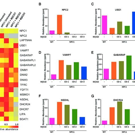 Recovery Of Dysregulated Protein Signature In Npc1 Fibroblasts Upon