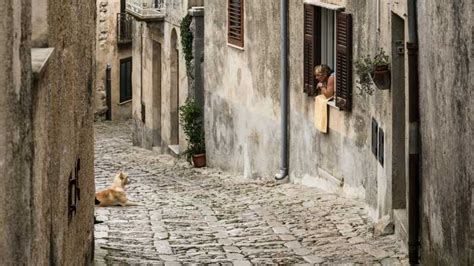 From Palermo Day Trip To Erice Segesta Salt Pans And Lunch Getyourguide