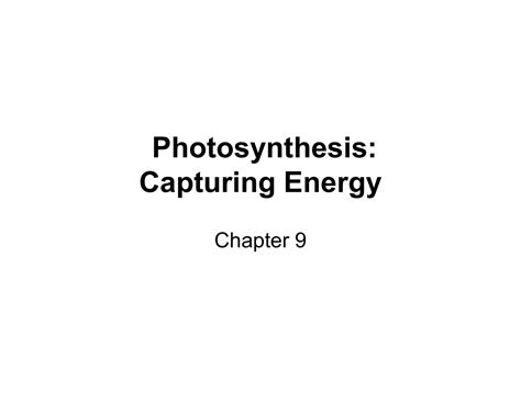 Solution Chapter 9 Photosynthesis Capturing Energy Fall 2021 2022 Bw