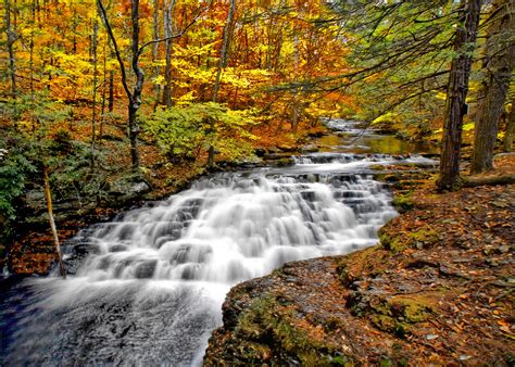 Autumn Color at Bushkilll Falls Pa. | Shutterbug