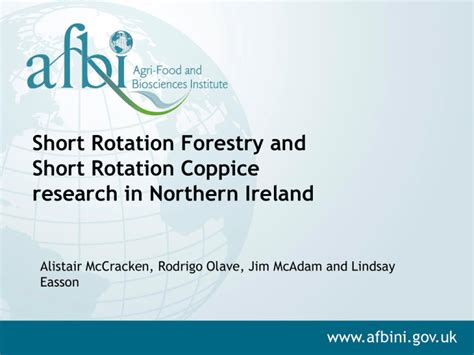 Short Rotation Forestry And Short Rotation Coppice Research In