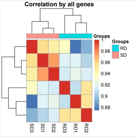 Rna Seq