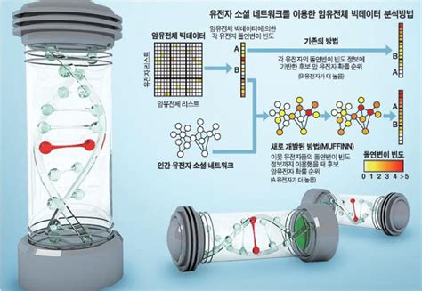 암 유전자 소셜네트워크로 콕 찍어 찾아낸다 부산의 대표 정론지 국제신문