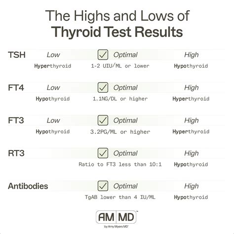 A Guide to Optimal Thyroid Levels From Tests – Amy Myers MD – AMMD