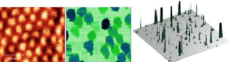 Resistive Switching In High Density Nanodevices Fabricated By Block Copolymer Self Assembly Dsftm