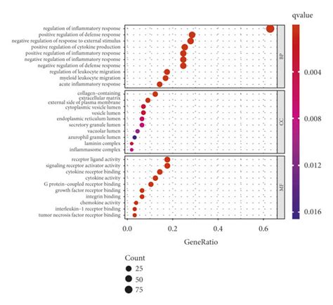 Go And KEGG Enrichment Analysis Of Inflammatory Response Related DEGs