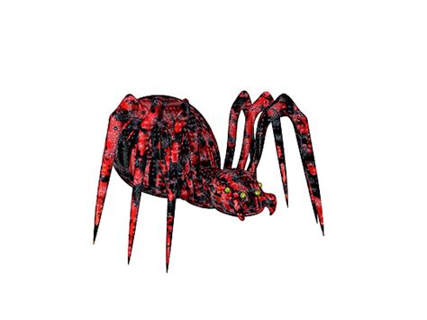 Black Widow Spider Crawl Widow Black Photo Background And Picture For